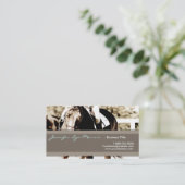 Paarden van bruin en wit Show Visitekaartje (Staand voorkant)