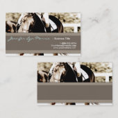 Paarden van bruin en wit Show Visitekaartje (Voorkant / Achterkant)