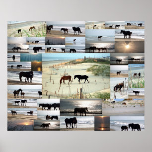 Paarden van Carova Poster