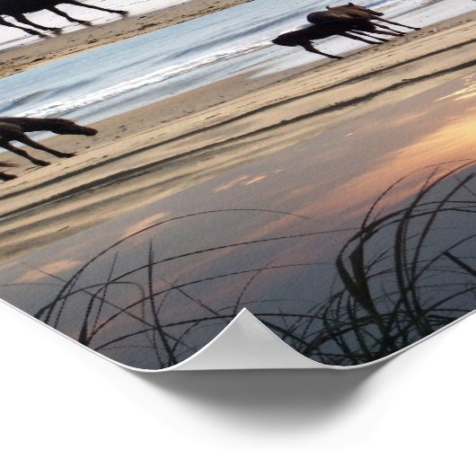 Paarden van Carova Poster (Hoek)