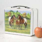 Paarden van de bruine baai Appaloosa in de zomerpe (In situ)