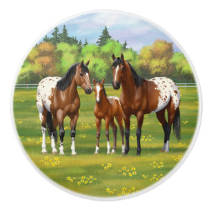 Paarden van de bruine baai Appaloosa in de zomerpe Keramische Knop