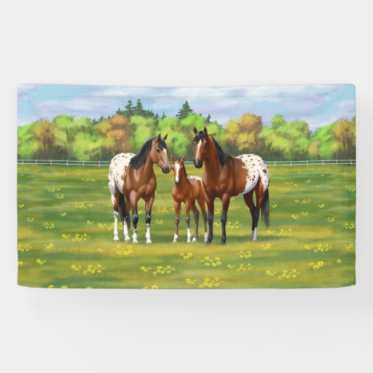 Paarden van de bruine baai Appaloosa in de zomerpe Spandoek (Horizontaal)
