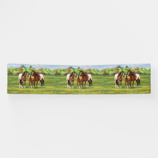 Paarden van de bruine baai Appaloosa in de zomerpe Spandoek (Horizontaal)