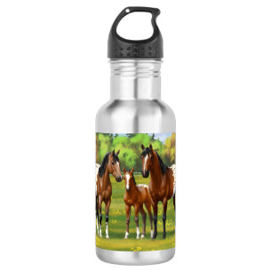 Paarden van de bruine baai Appaloosa in de zomerpe Waterfles