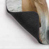 Paarden van de Equestrian Art Mousepad uit Ocala F Muismat (Hoek)