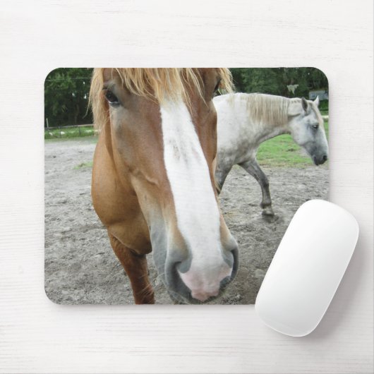Paarden van de Equestrian Art Mousepad uit Ocala F Muismat (Met muis)