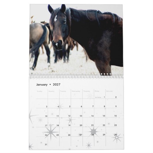 Paarden van de Flint Hills Kalender (Jan 2027)