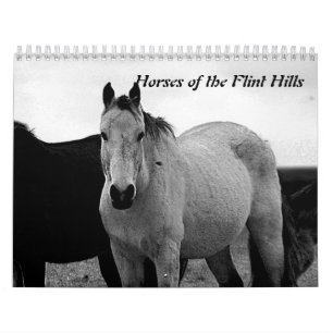 Paarden van de Flint Hills Kalender