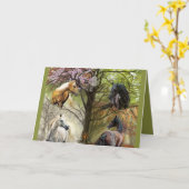 Paarden van de Kaart van de Nota van Vier (Gele Bloem)