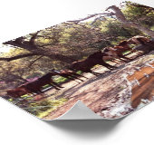 Paarden van de watering-hol drie rivieren Californ Poster (Hoek)