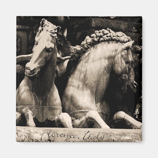 Paarden van Florence, Italië Magneet (Voorkant)
