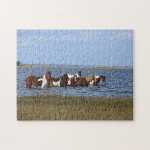 Paarden van het eiland Assateague die in de kust v Legpuzzel