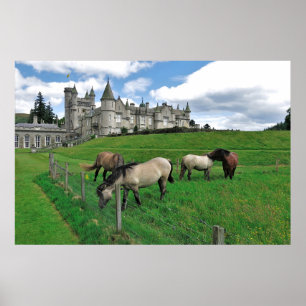 Paarden van het kasteel van Balmoral Poster