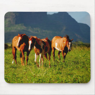 Paarden van Kauai Muismat
