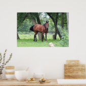 Paarden van natuurlijk - 0037 poster (Keuken)