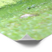 Paarden van natuurlijk - 0037 poster (Hoek)