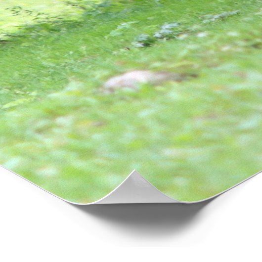 Paarden van natuurlijk - 0037 poster (Hoek)