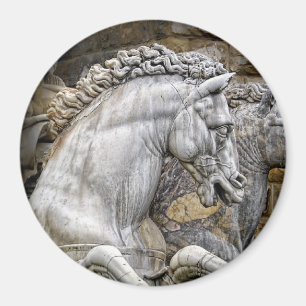 Paarden van Neptune Statue Italië Magneet