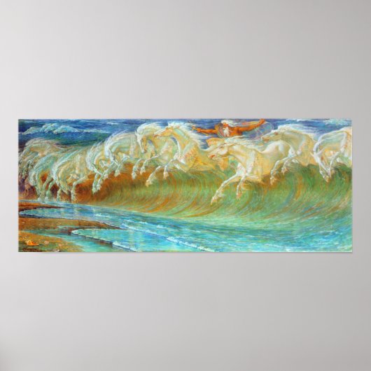 Paarden van Neptunus Poster (Voorkant)