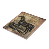 Paarden van paard Thoroughbred en van Arabieren Tegeltje (Zijkant)