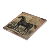 Paarden van  paard Thoroughbred en van Arabieren Tegeltje (Zijkant)