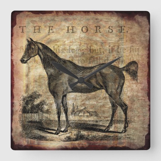 Paarden van paard Thoroughbred en van Arabieren Vierkante Klok (Voorkant)