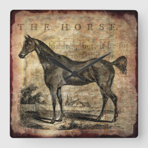 Paarden van  paard Thoroughbred en van Arabieren Vierkante Klok