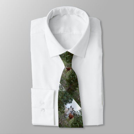 Paarden van peekaboo stropdas (Gebonden)