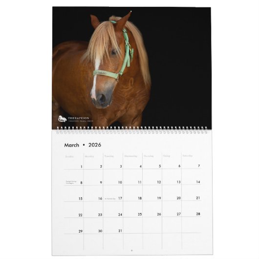Paarden van Therapion 2021 Agenda Kalender (Mar 2026)