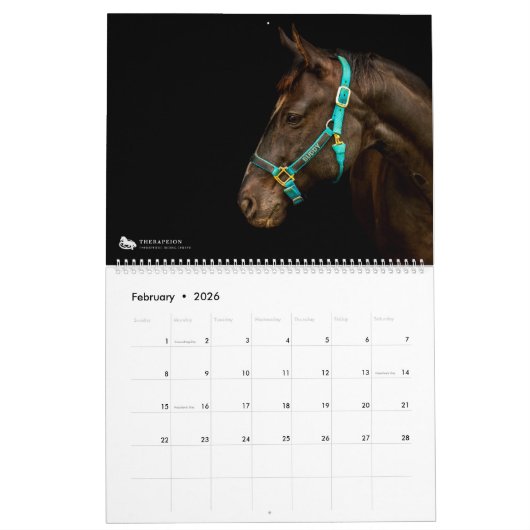 Paarden van Therapion 2021 Agenda Kalender (Feb 2026)