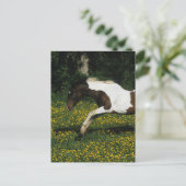 Paarden van verf die in het veld Bloemen lopen Briefkaart (Staand voorkant)