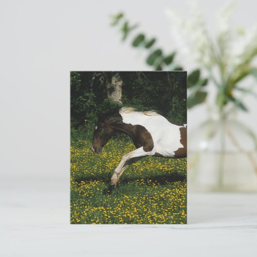Paarden van verf die in het veld Bloemen lopen Briefkaart (Staand voorkant)