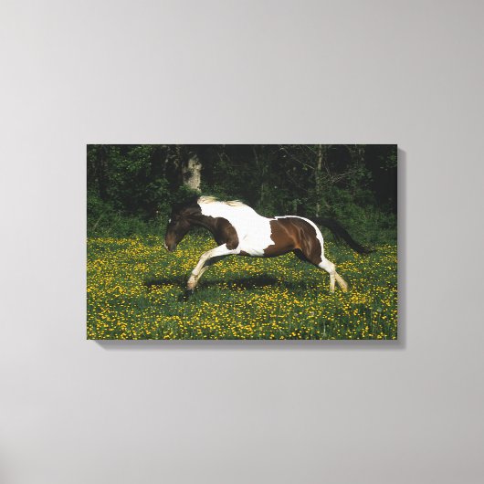 Paarden van verf die in het veld Bloemen lopen Canvas Afdruk (Voorkant)