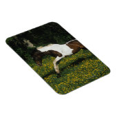 Paarden van verf die in het veld Bloemen lopen Magneet (Rechterzijde)