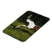 Paarden van verf die in het veld Bloemen lopen Magneet (Linkerzijde)