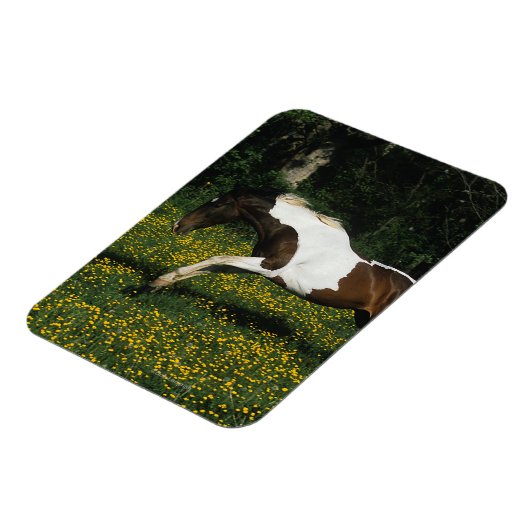 Paarden van verf die in het veld Bloemen lopen Magneet (Linkerzijde)