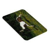 Paarden van verf die in het veld Bloemen lopen Magneet (Rechterzijde)