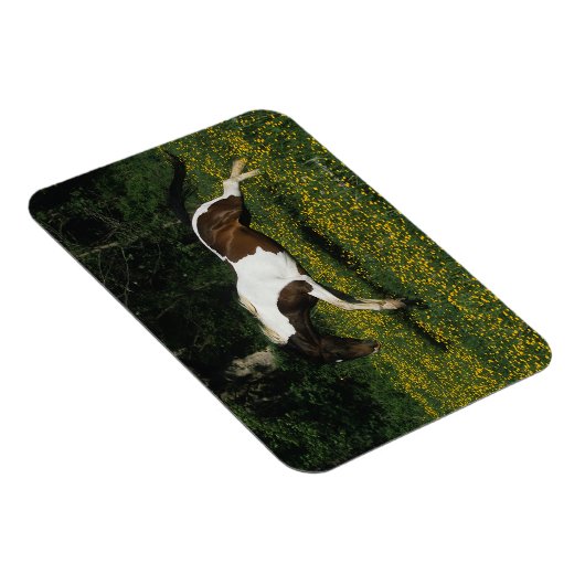 Paarden van verf die in het veld Bloemen lopen Magneet (Rechterzijde)