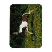 Paarden van verf die in het veld Bloemen lopen Magneet (Verticaal)