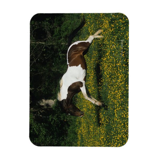 Paarden van verf die in het veld Bloemen lopen Magneet (Verticaal)