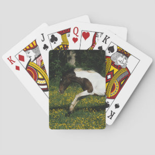 Paarden van verf die in het veld Bloemen lopen Pokerkaarten