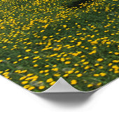 Paarden van verf die in het veld Bloemen lopen Poster (Hoek)