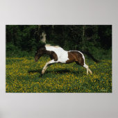 Paarden van verf die in het veld Bloemen lopen Poster (Voorkant)