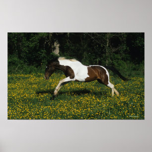 Paarden van verf die in het veld Bloemen lopen Poster