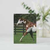 Paarden van verf die lopen 1 briefkaart (Staand voorkant)