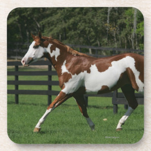 Paarden van verf die lopen 1 drankjes onderzetter