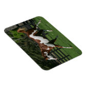 Paarden van verf die lopen 1 magneet (Rechterzijde)