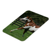 Paarden van verf die lopen 1 magneet (Linkerzijde)