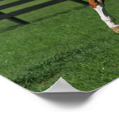 Paarden van verf die lopen 1 poster (Hoek)